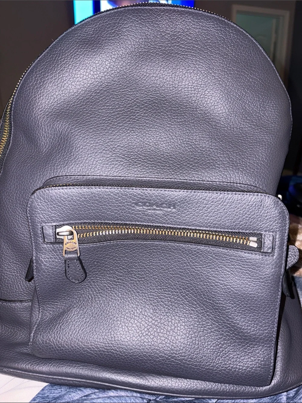 Coach Men's Backpack in Dark Gray with Gold Hardware